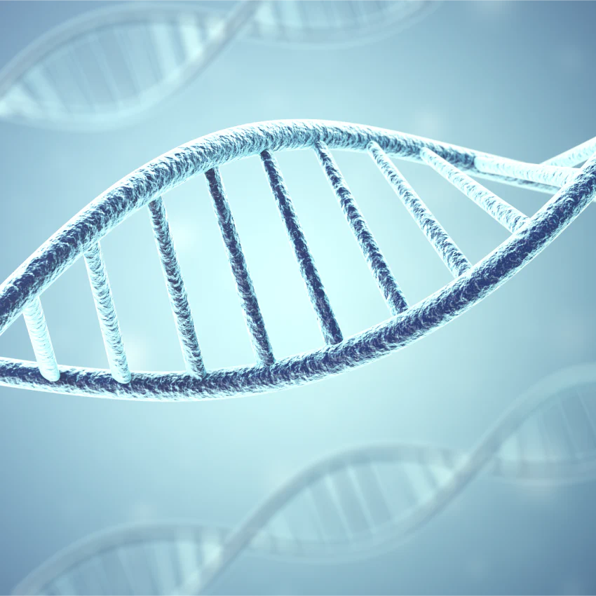 HDV RNA QUALITATIVE