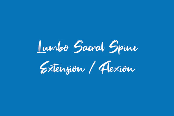 Lumbo Sacral Spine Extension / Flexion Views
